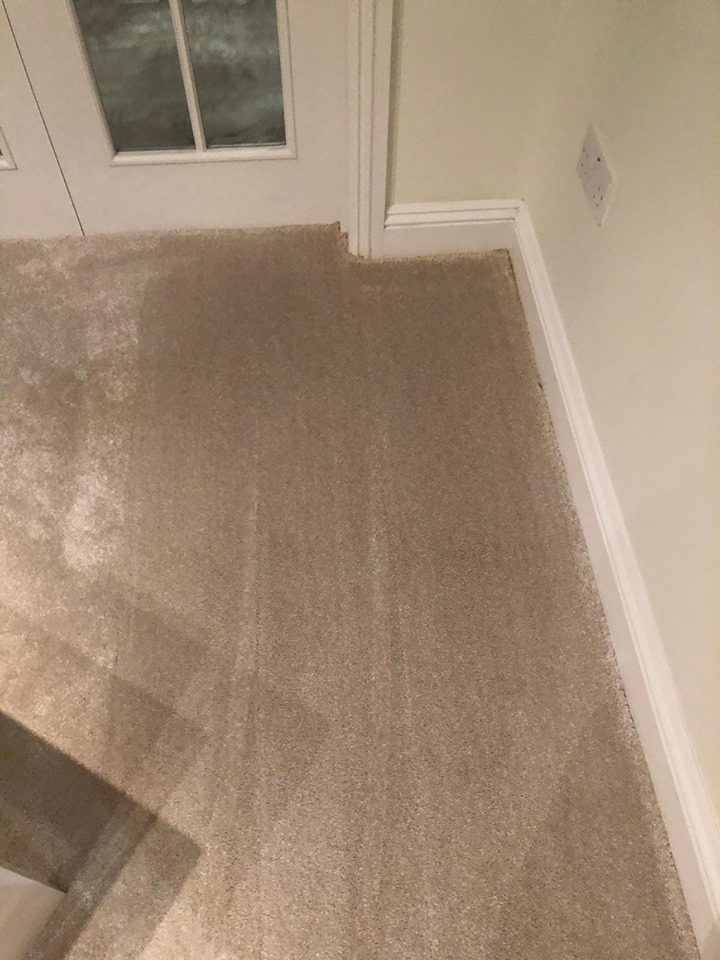  Thankfully, Georgia's mum removed the stains from her carpet using a 60p bleach