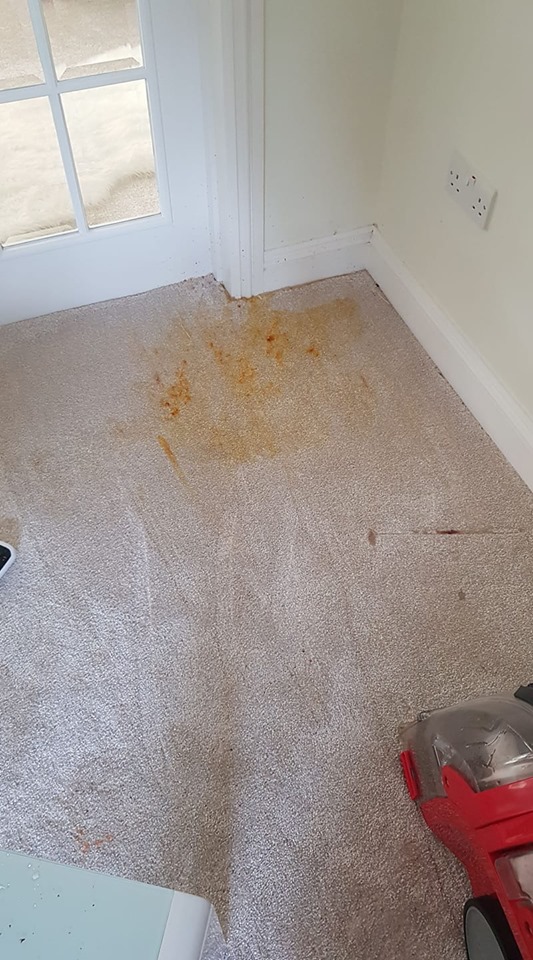  A panicked Georgia desperately hunted for cleaning tips in a private Facebook group