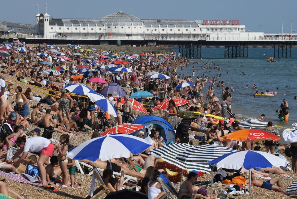  Crowds flocked to Brighton Beach yesterday to soak up the sun