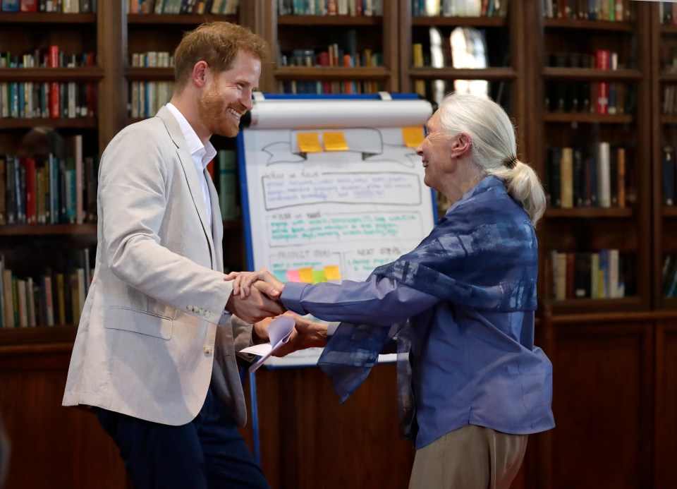 Jane Goodall met with Prince Harry at an event recently