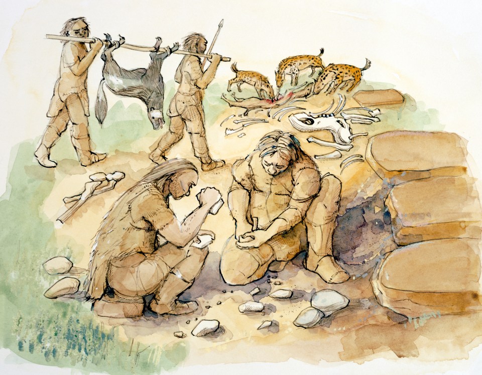  People in the Upper Palaeolithic period commonly used stone tools