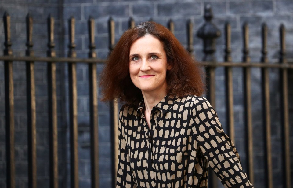  Theresa Villiers was given Gove's old job at Environment