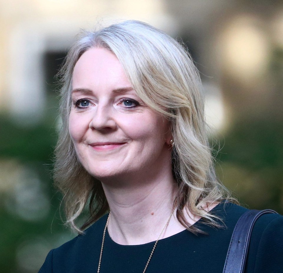 Liz Truss missed out on the role of Chancellor but was appointed to succeed Liam Fox in a beefed-up Trade Secretary role