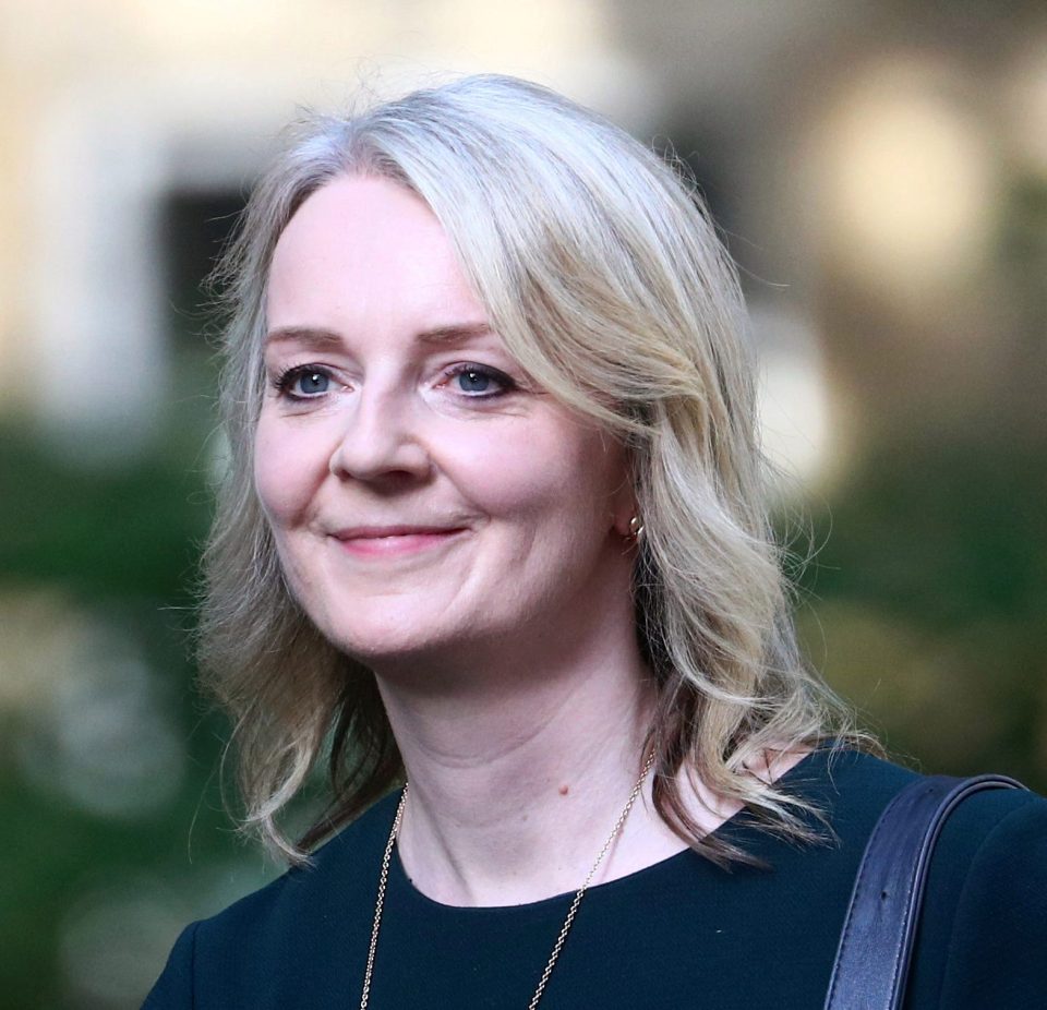  Liz Truss missed out on the role of Chancellor but was appointed to succeed Liam Fox in a beefed-up Trade Secretary role