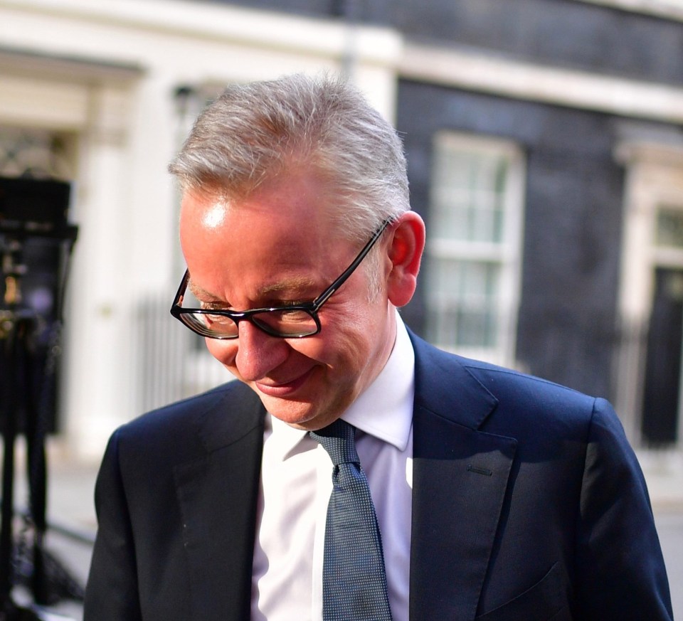 Michael Gove – the last survivor of Cameron’s first Cabinet in 2010 – was promoted to the key Cabinet Office enforcer job of Chancellor of the Duchy of Lancaster