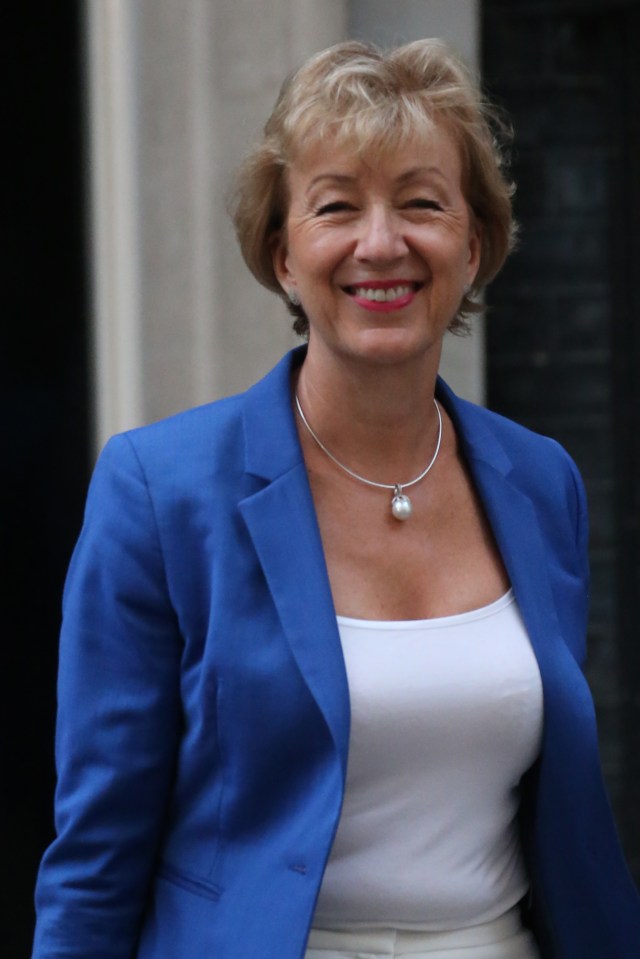 Andrea Leadsom made a Cabinet return as Business Secretary