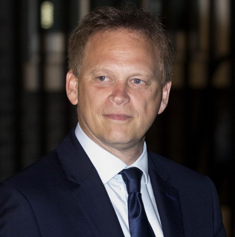  The revelation emerged as Transport Secretary Grant Shapps said he would be setting aside £300m to ensure critical goods can flow into the country