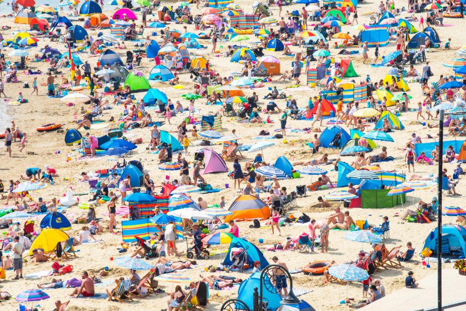  Brits swelter on the beach in Lyme Regis in Dorset on Thursday, which is now believed to have been the hottest day ever in the UK