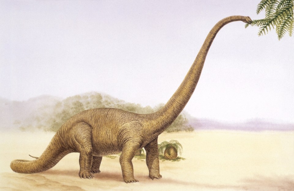  Sauropods were some of the biggest creatures ever to walk the Earth