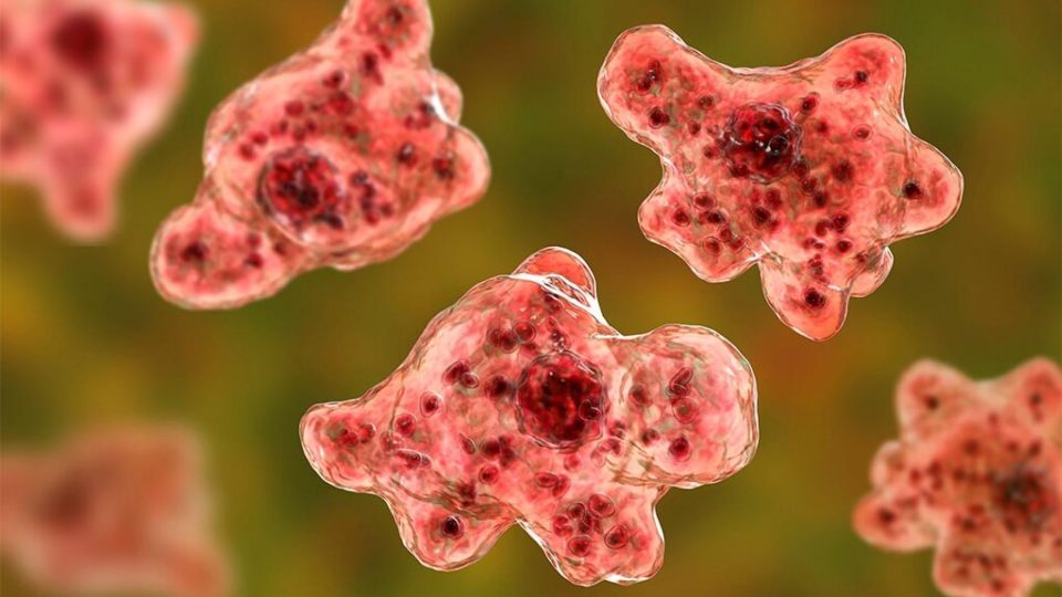 Two people have died from extensive brain damage caused by amoeba