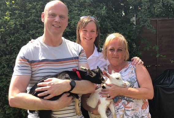  Owners of the pygmy pair, Stan and Ollie, delivered the goats to the jail last week