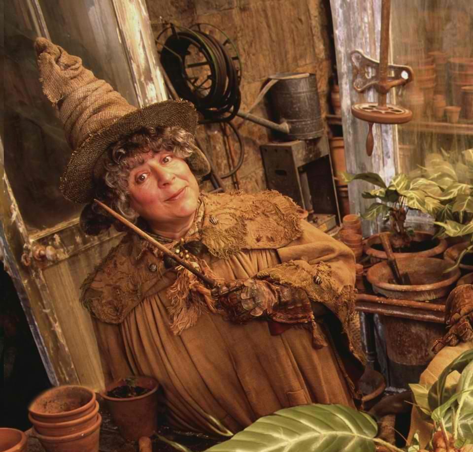  Miriam Margoyles as Professor Pomona Sprout in Harry Potter