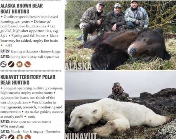  Companies offering hunters a selection of trips so they can slaughter animals