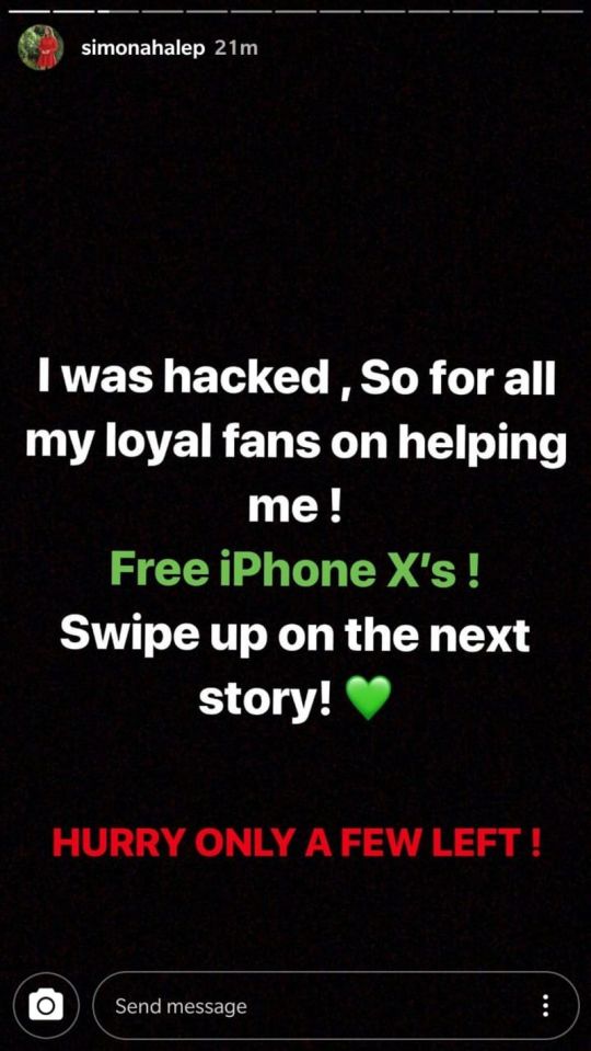  Screenshot of a bogus Instagram story posted by hackers on Simona's account