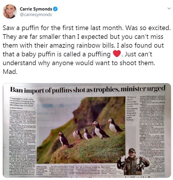  Ms Symonds hit out against puffin hunting on Twitter