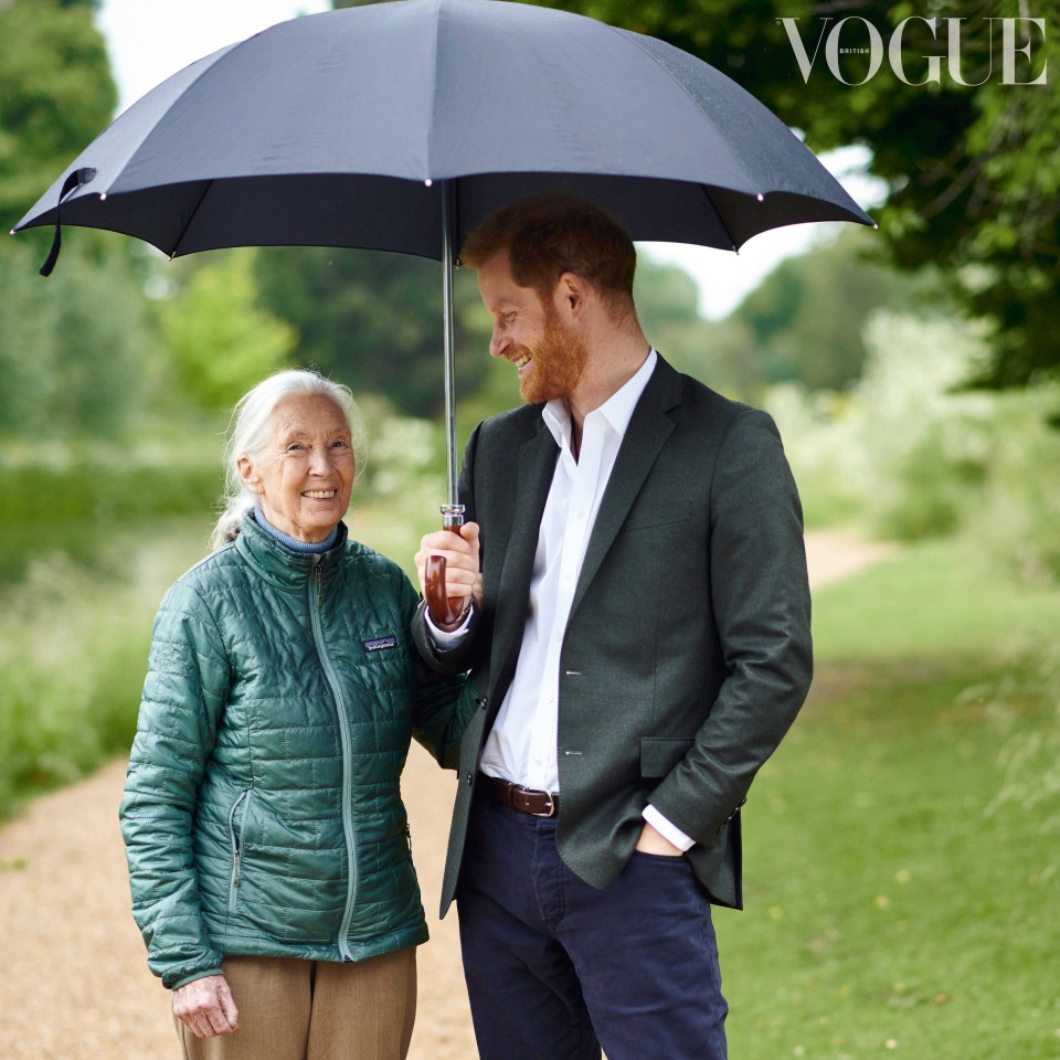 Harry spoke with conservationist Jane Goodall for Meghan Markle’s guest-edited issue of Vogue