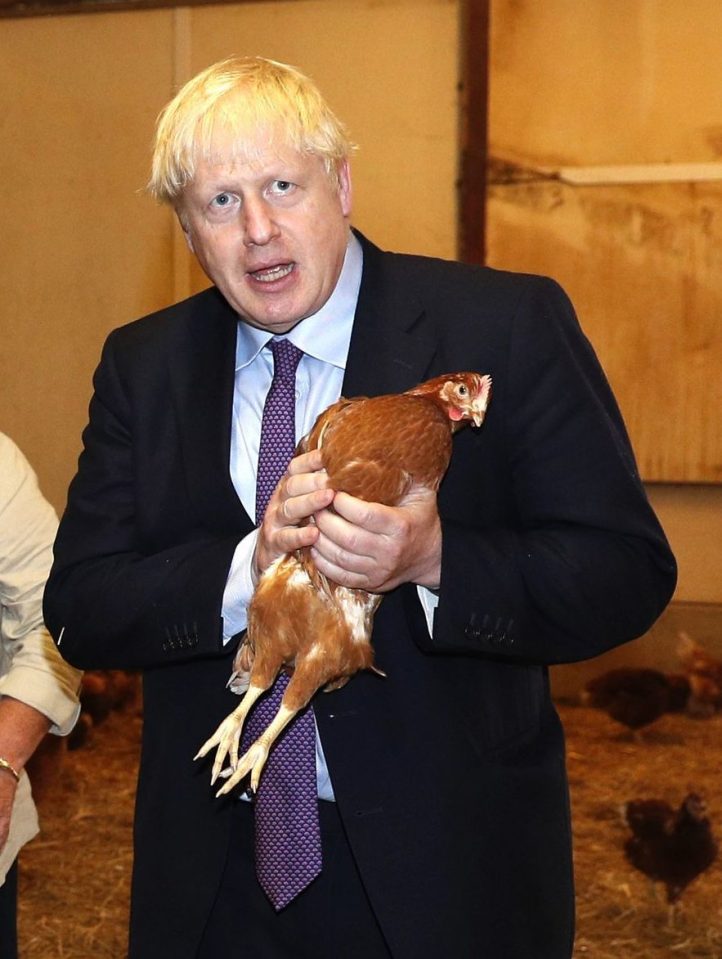  Boris Johnson was in Wales on a visit to a chicken farm when he promised help for farmers if the UK leaves the EU without a deal