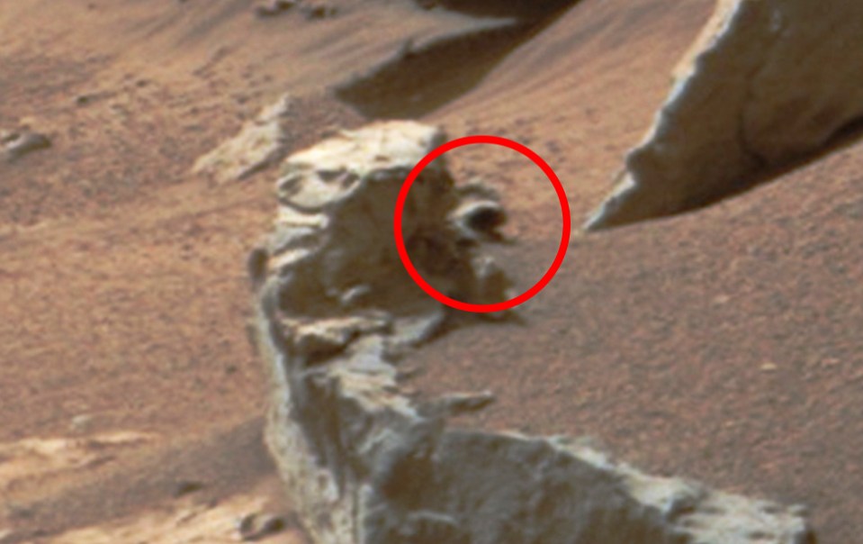 Steve also previously spotted what looked like a penguin strolling around the Red Planet