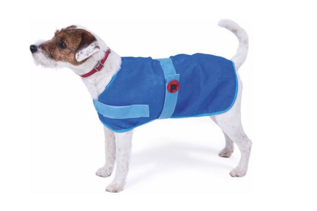 Pet Cooling Coat