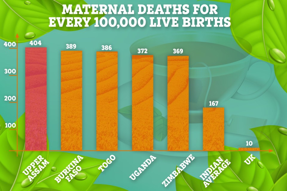 This graphic shows how 404 women in Assam tea estate areas die per 100,000 live births – compared to an average of 10 in the UK