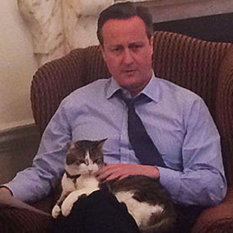 David Cameron rehomed Larry the Cat from Battersea Dogs and Cats home to No10 Downing Street