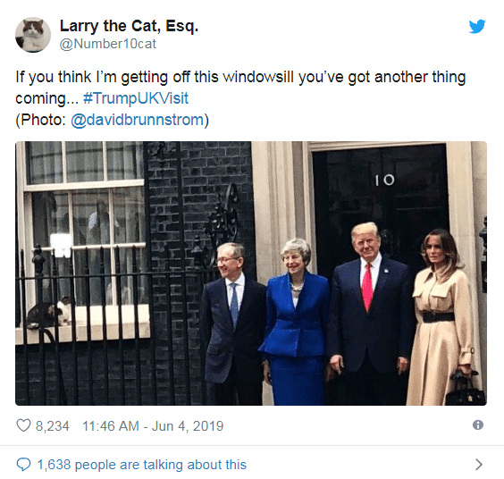 Larry the cat with old housemates Philip and Theresa May, as they host Donald and Melania Trump