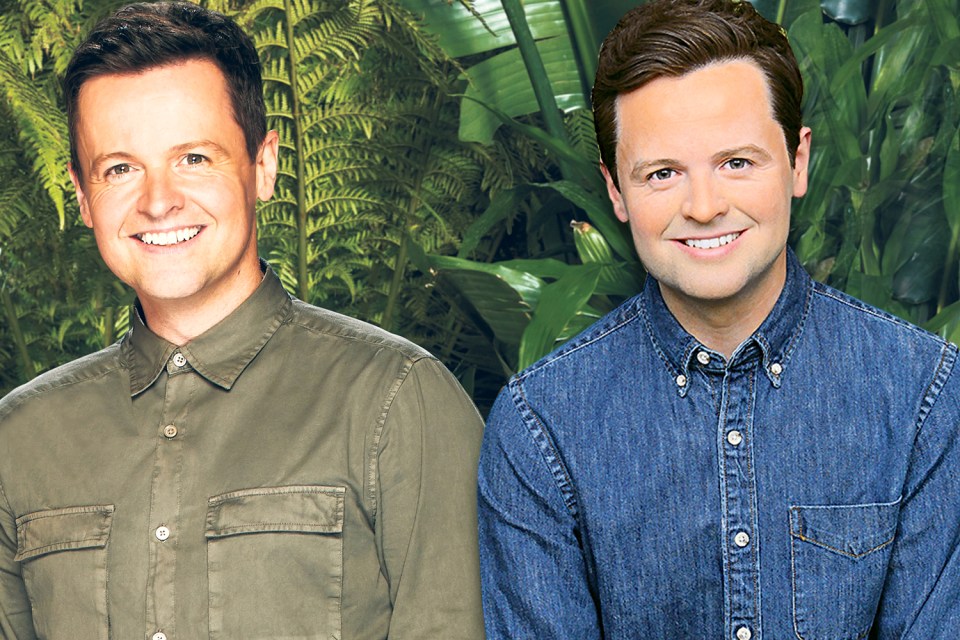  As usual, the I'm A Celeb host comes as half of a pair