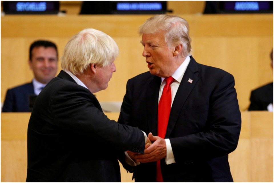  Trump and Boris have both described their wish to seal a bumper trade deal