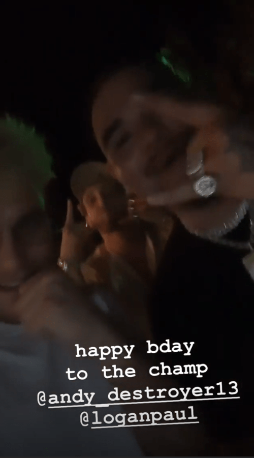  Ruiz partied with internet superstars Logan and Jake Paul