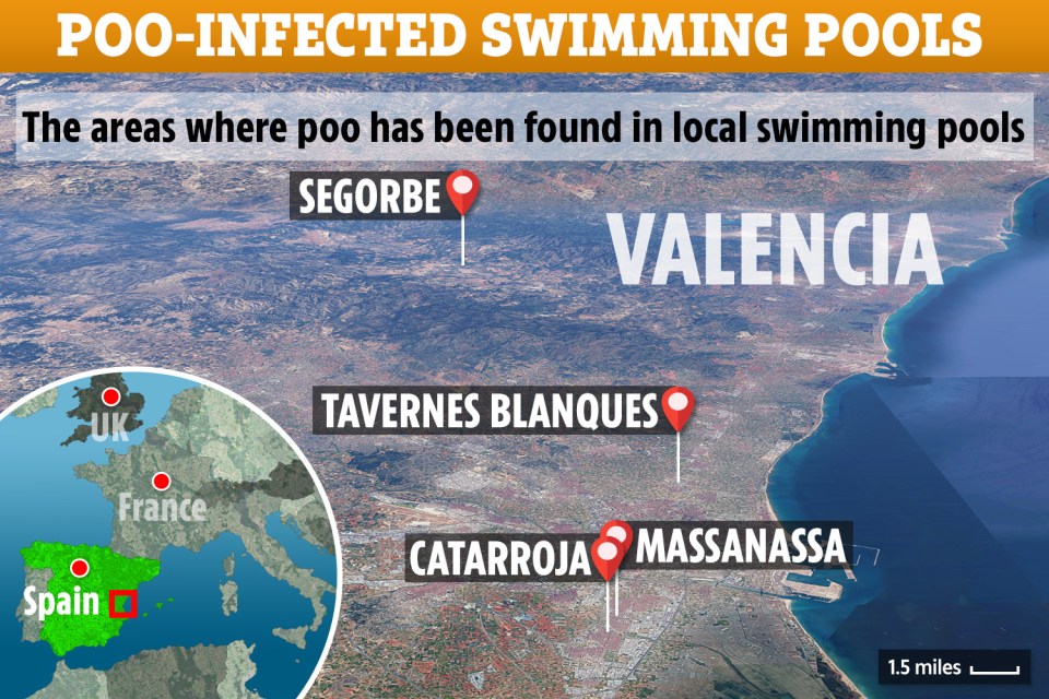  The areas where poo has been found in swimming pools