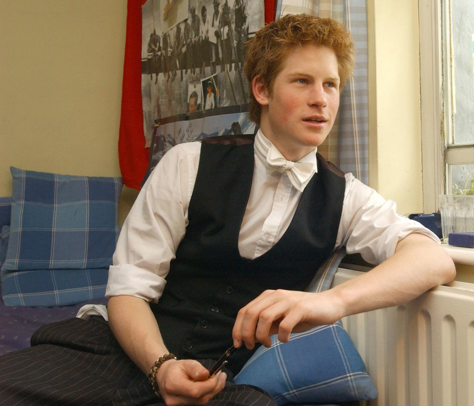  Prince Harry took 11 GCSEs and left school with two A-Levels