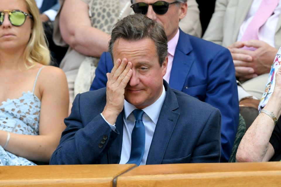  David Cameron claimed he had never heard of Danny Dyer until the actor insulted him