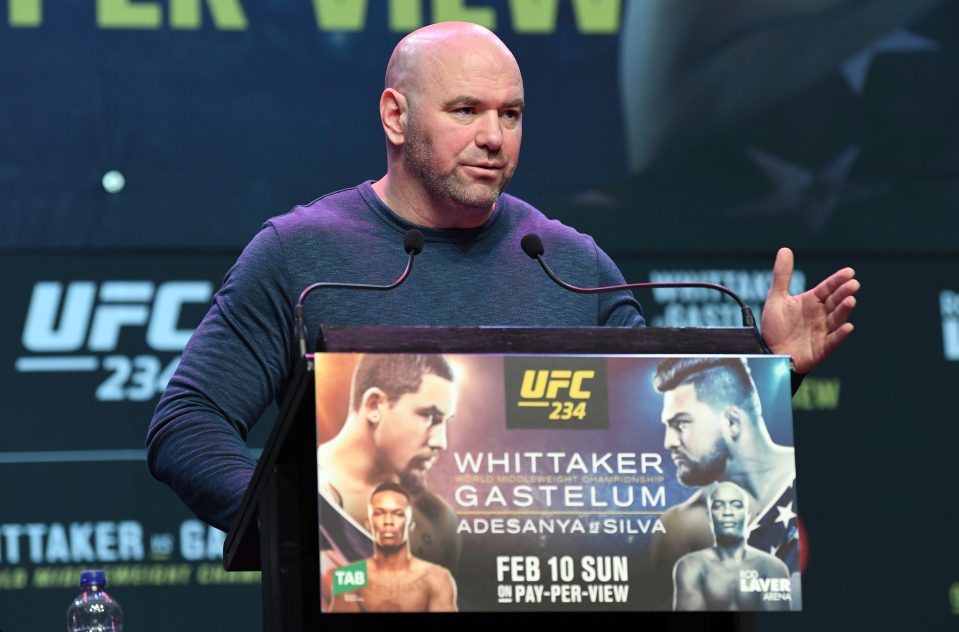  Dana White called boxing 'really stupid' after Tyson Fury and Deontay Wilder failed to rematch this year