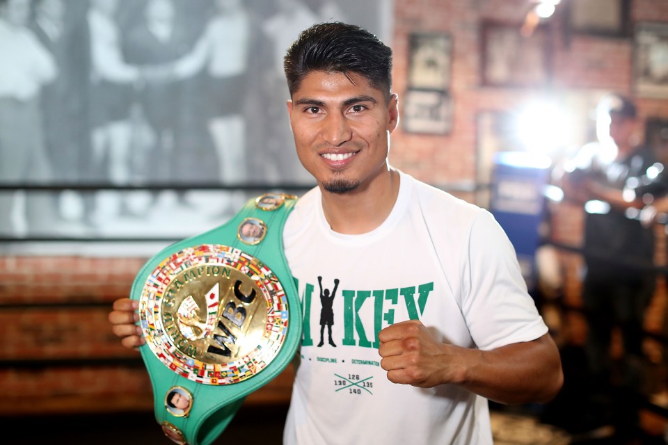  Mikey Garcia was knocking on the door of greatness after capturing the IBF super-lightweight title against Sergey Lipinets in 2018