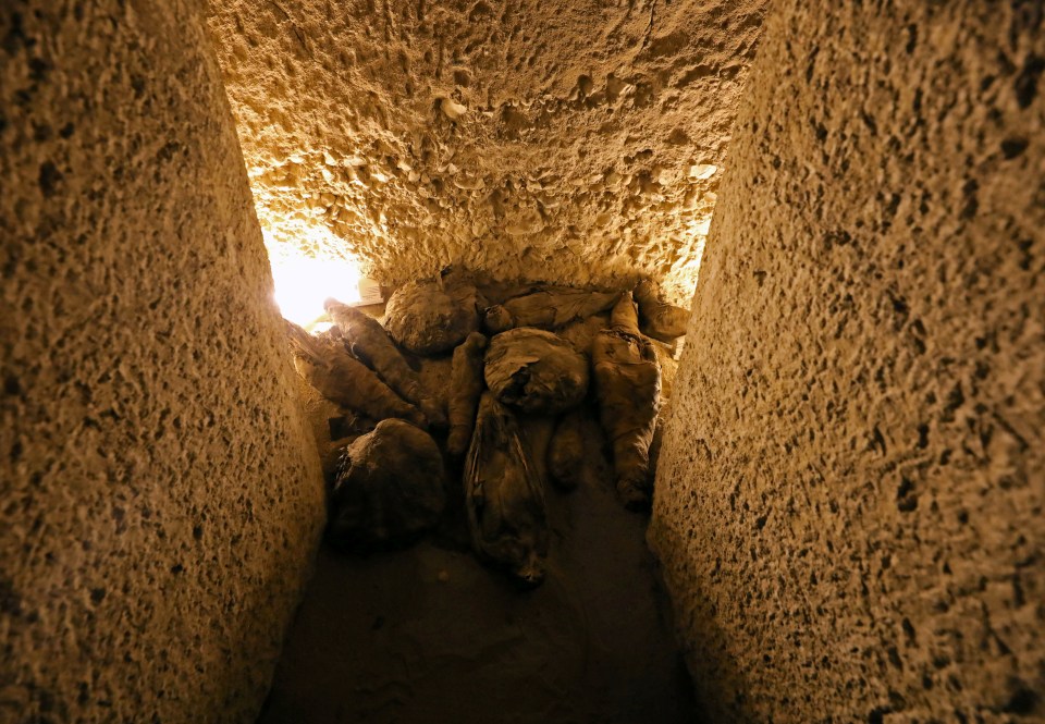  Mummified falcons and other birds were found in the tomb