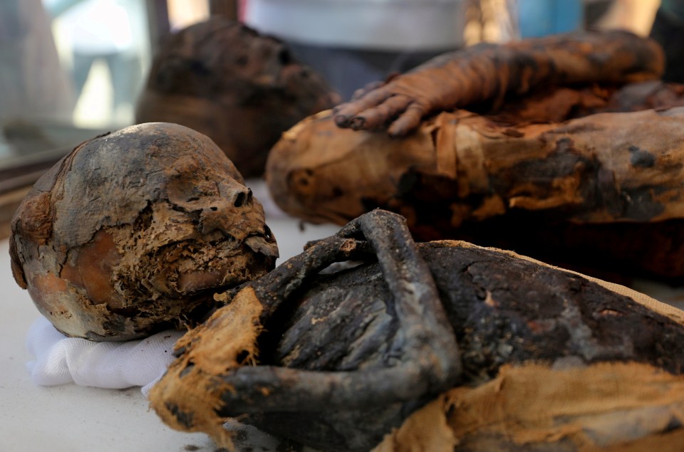  Lots of experts do not want the mummies to be moved to a new home