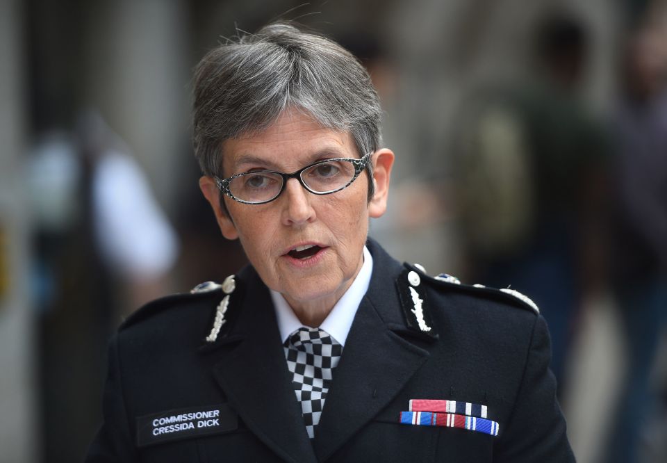  Met Commissioner Cressida Dick earned £234,992 last year