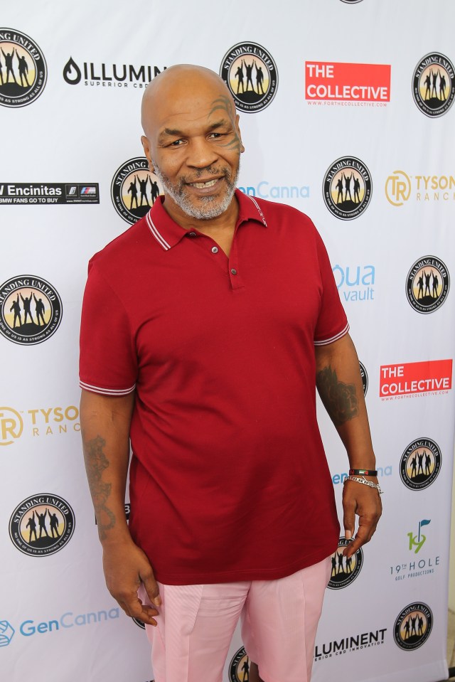  Mike Tyson made his fortune through boxing and movies