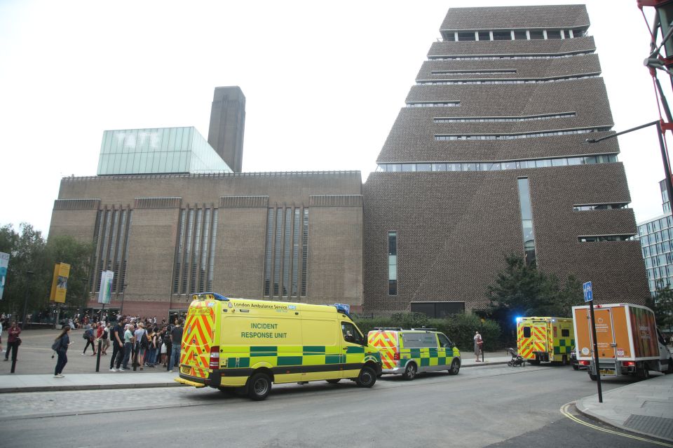  The Tate Modern was evacuated after a boy was thrown from a viewing platform