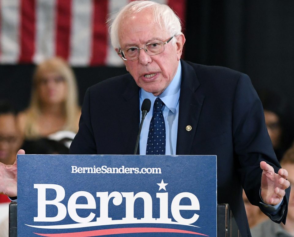  Bernie Sanders also called for a ban on assault weapons