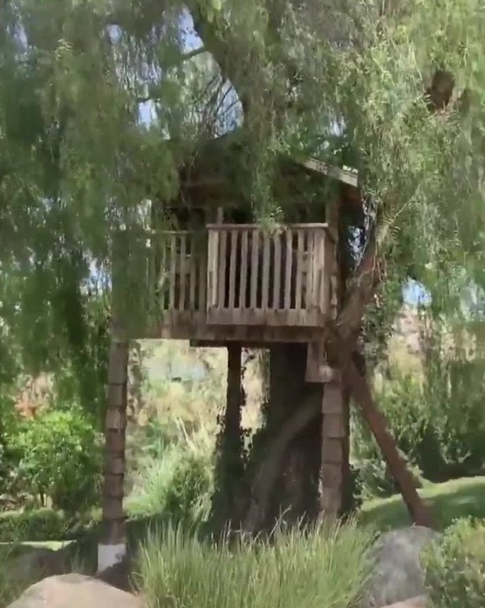  The Mexican boxer pointed out the treehouse, that his children will surely love