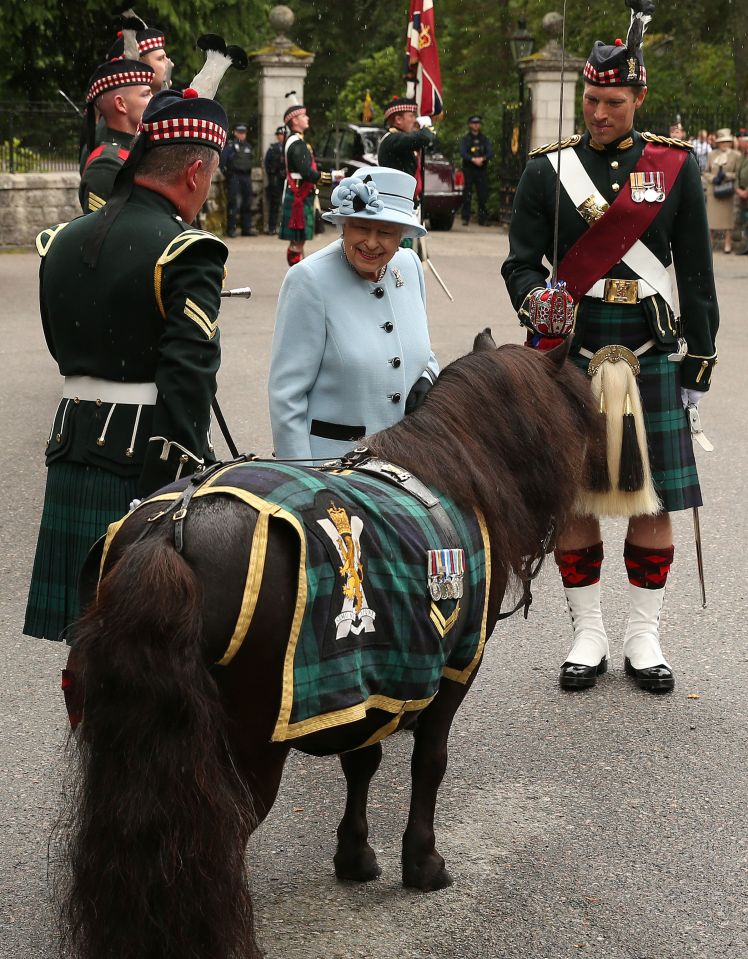 The Queen smiles as she meets the cheeky pony again