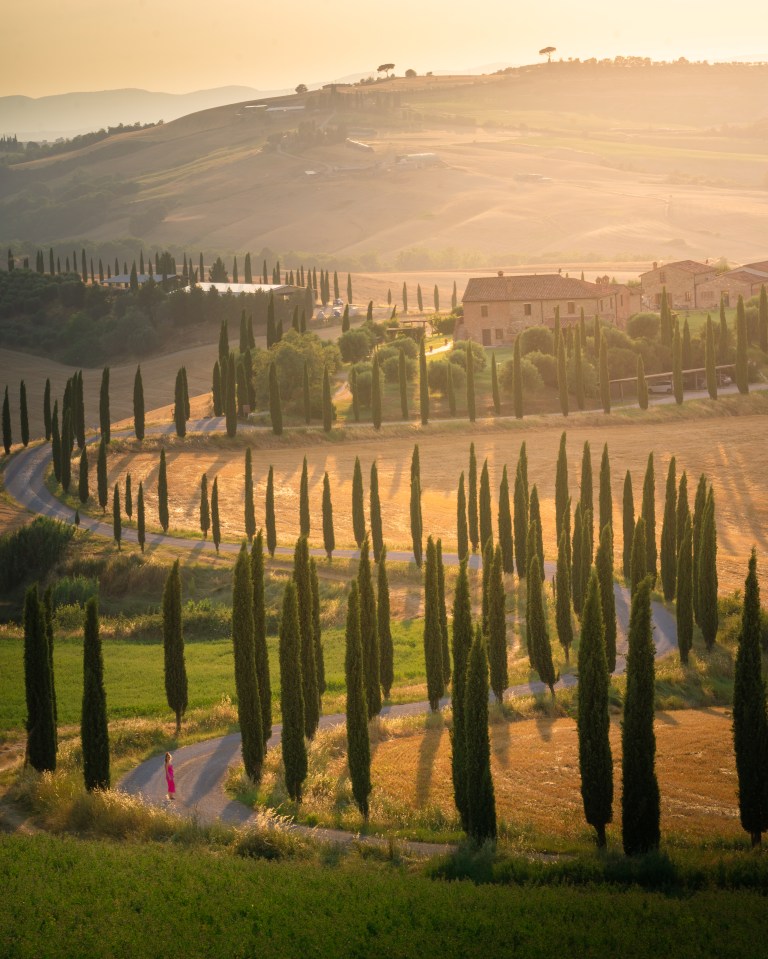  Hugo captured the magical quality of this winding road in Tuscany, Italy