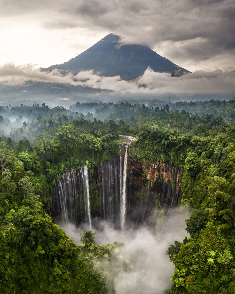  Hugo's prize-winning entry taken on the island of Java