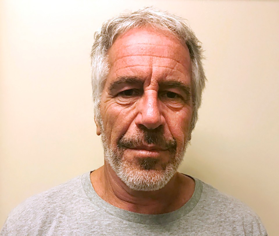  Jeffrey Epstein died in a federal jail in Manhattan, New York