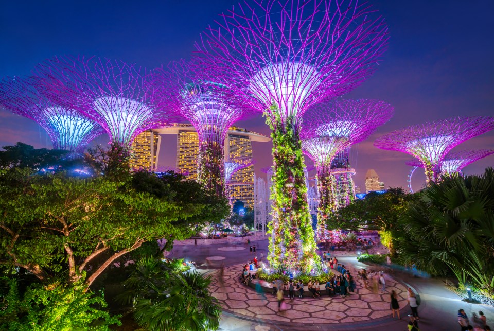  The illuminated trees at Garden By The Bay are just fantastic