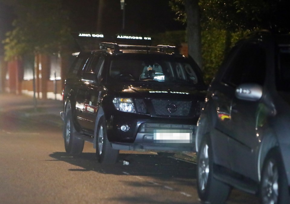  Large jeeps made for a burly presence