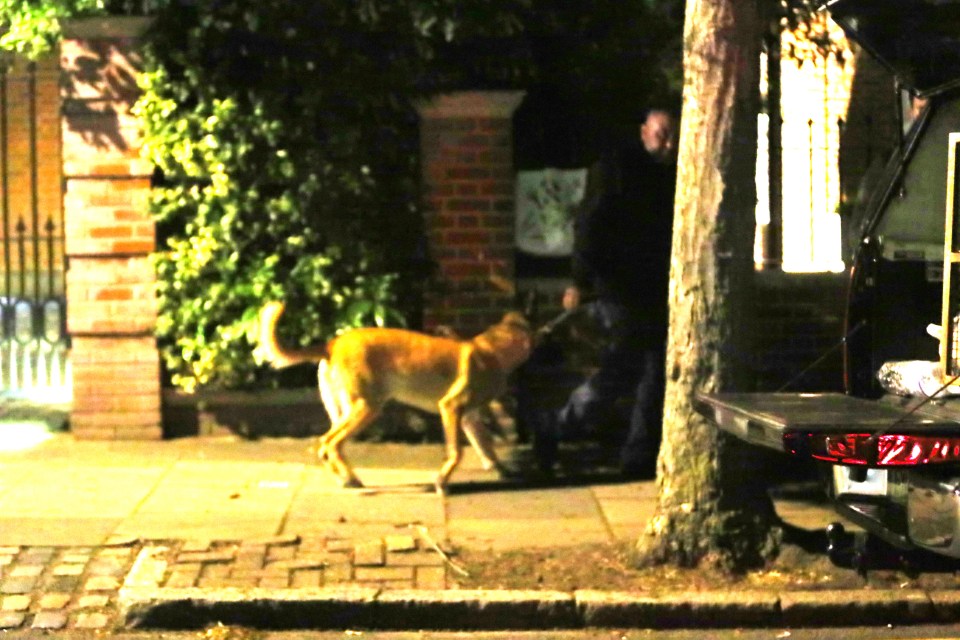 A patrol dog is taken around the perimeter of Mesut Ozil's house alongside his normal security