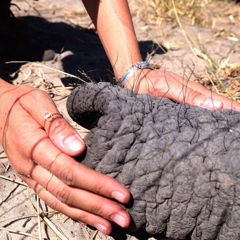 Meghan’s Hamsa ring featured in this 2017 photo of her stroking an elephant’s trunk