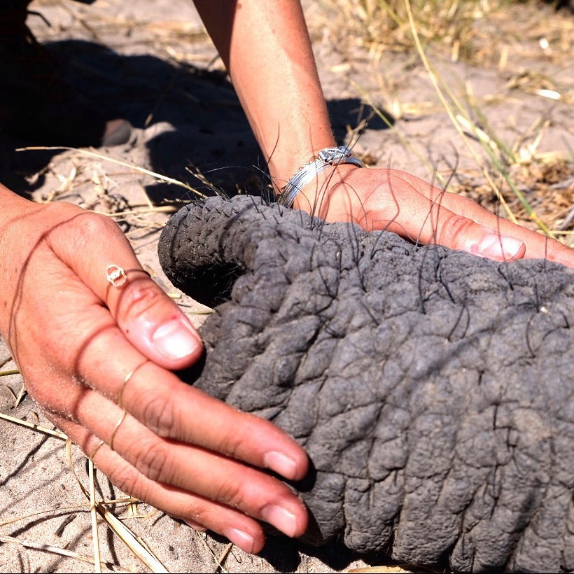 The couple celebrated World Elephant Day earlier this month by sharing never-before-seen pictures of their 2017 trip to Botswana